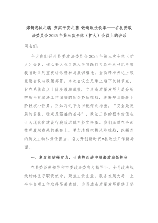 熔铸忠诚之魂 夯实平安之基 锻造政法铁军——在县委政法委员会2025年第三次全体（扩大）会议上的讲话