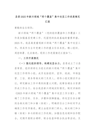 县委2025年新兴领域“两个覆盖”集中攻坚工作进展情况汇报