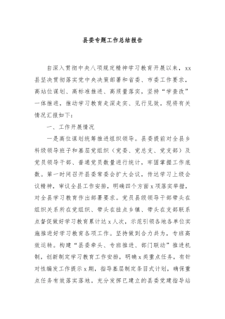 县委专题工作总结报告