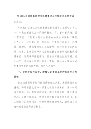 在2025年农旅集团党委巡察整改工作推进会上的讲话