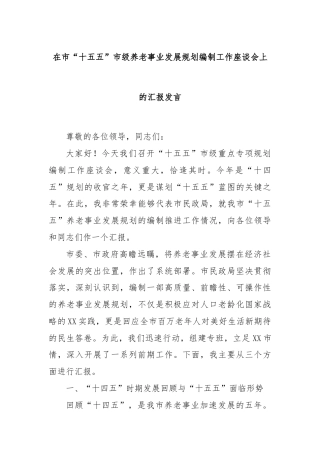 在市“十五五”市级养老事业发展规划编制工作座谈会上的汇报发言