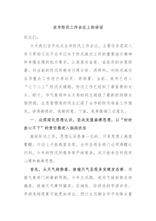 在市防汛工作会议上的讲话
