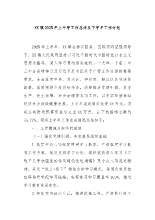 XX镇2025年上半年工作总结及下半年工作计划