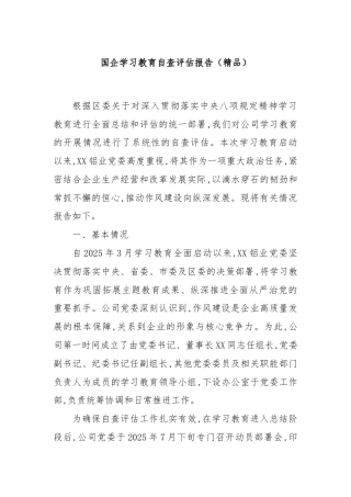 国企学习教育自查评估报告（精品）