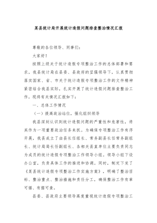 某县统计局开展统计造假问题排查整治情况汇报