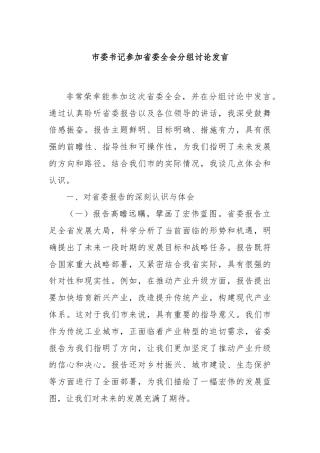 市委书记参加省委全会分组讨论发言