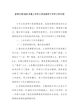 县审计局2025年度上半年工作总结和下半年工作计划