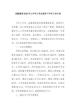 县数据局2025年上半年工作总结和下半年工作计划