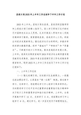 县统计局2025年上半年工作总结和下半年工作计划