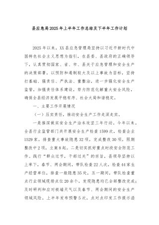 县应急局2025年上半年工作总结及下半年工作计划