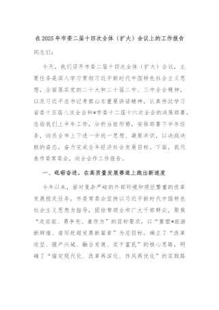 在2025年市委二届十四次全体（扩大）会议上的工作报告