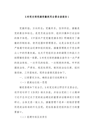 X村党支部党旗党徽使用全景自查报告1