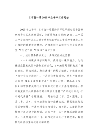 X市统计局2025年上半年工作总结