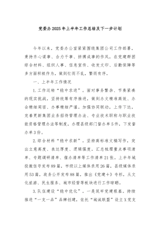 党委办2025年上半年工作总结及下一步计划