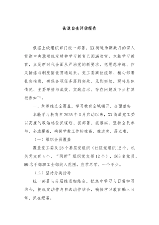 街道自查评估报告