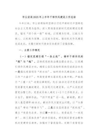 市公安局2025年上半年干部作风建设工作总结