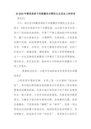 在2025年镇党委班子巡察整改专题民主生活会上的讲话