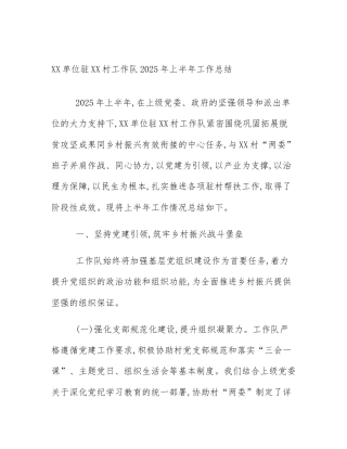 XX单位驻XX村工作队2025年上半年工作总结