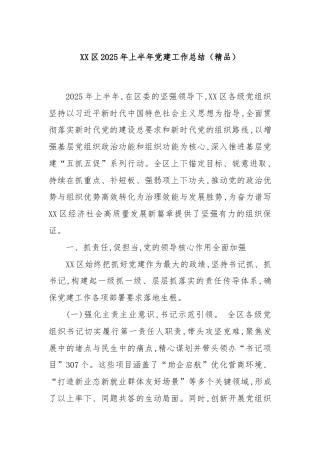 XX区2025年上半年党建工作总结（精品）