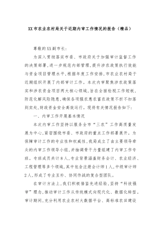 XX市农业农村局关于近期内审工作情况的报告（精品）