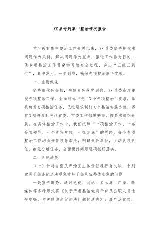 XX县专题集中整治情况报告