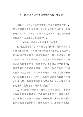 X工委2025年上半年法治政府建设工作总结