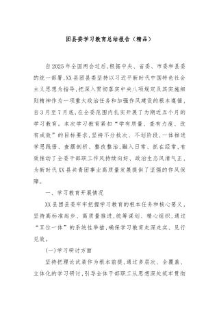 团县委学习教育总结报告（精品）