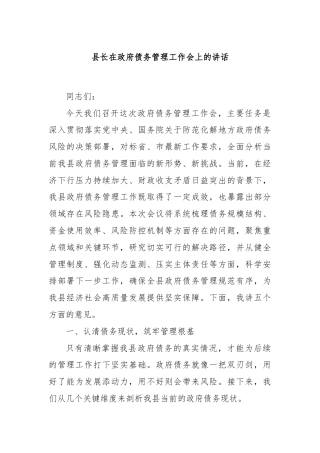 县长在政府债务管理工作会上的讲话