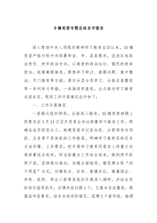 乡镇党委专题总结自评报告