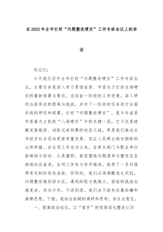 在2025年全市打好“问题整改硬仗”工作专班会议上的讲话