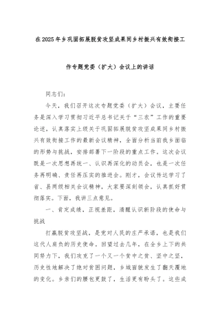 在2025年乡巩固拓展脱贫攻坚成果同乡村振兴有效衔接工作专题党委（扩大）会议上的讲话