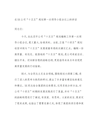 在XX公司“十五五”规划第一次领导小组会议上的讲话
