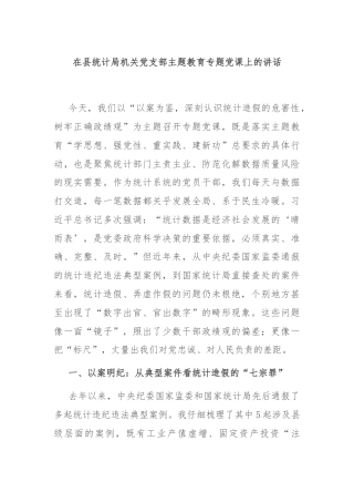 在县统计局机关党支部主题教育专题党课上的讲话