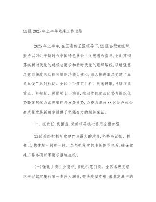 XX区2025年上半年党建工作总结