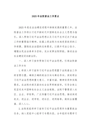 2025年法院普法工作要点