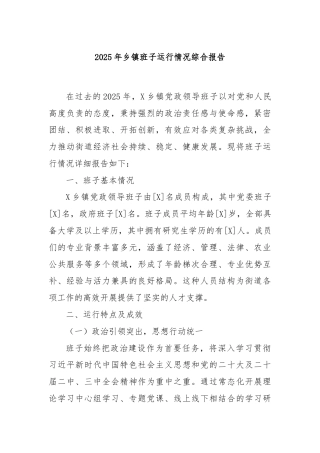 2025年乡镇班子运行情况综合报告
