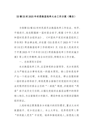 XX镇XX村2025年村委换届选举大会工作方案（精品）