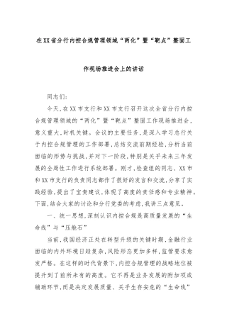 在XX省分行内控合规管理领域“两化”暨“靶点”整固工作现场推进会上的讲话