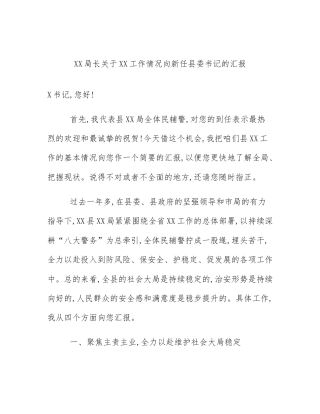 XX局长关于XX工作情况向新任县委书记的汇报
