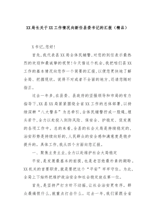 XX局长关于XX工作情况向新任县委书记的汇报（精品）