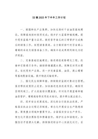XX镇2025年下半年工作计划