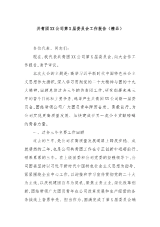 共青团XX公司第X届委员会工作报告（精品）
