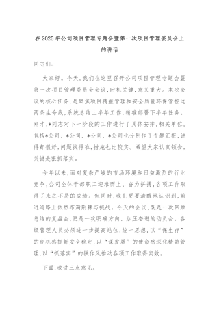 在2025年公司项目管理专题会暨第一次项目管理委员会上的讲话