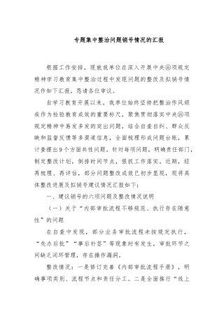 专题集中整治问题销号情况的汇报