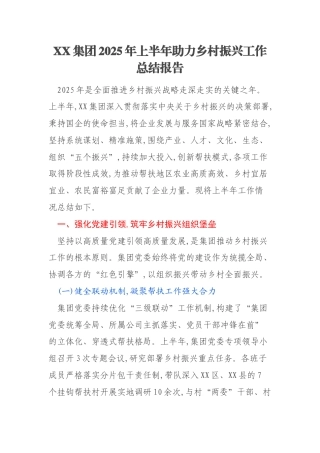 XX集团2025年上半年助力乡村振兴工作总结报告