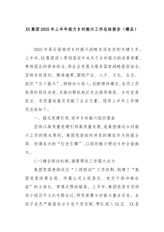 XX集团2025年上半年助力乡村振兴工作总结报告（精品）