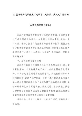 XX县审计局关于开展“大学习、大练兵、大比武”活动的工作实施方案（精品）