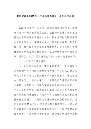 X区财政局2025年上半年工作总结及下半年工作计划