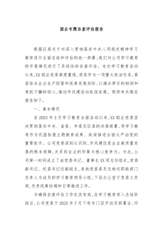 国企专题自查评估报告