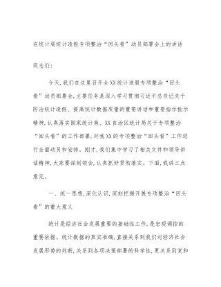 在统计局统计造假专项整治“回头看”动员部署会上的讲话